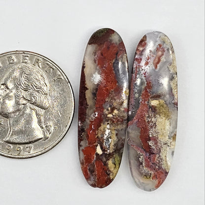 Moss Agate Cabochon pair