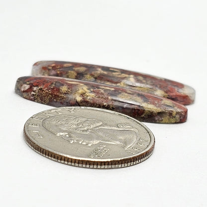 Moss Agate Cabochon pair