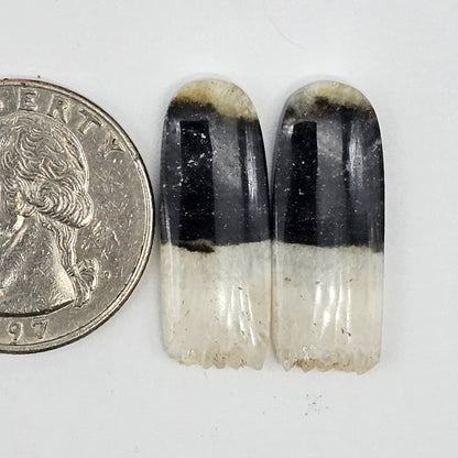Yin Yang Agate Cabochon Pair