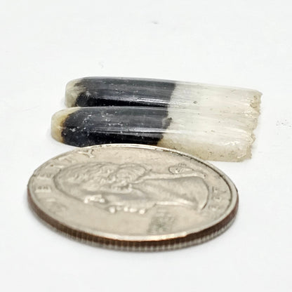 Yin Yang Agate Cabochon Pair