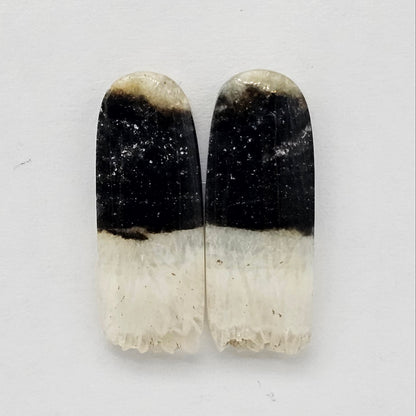 Yin Yang Agate Cabochon Pair
