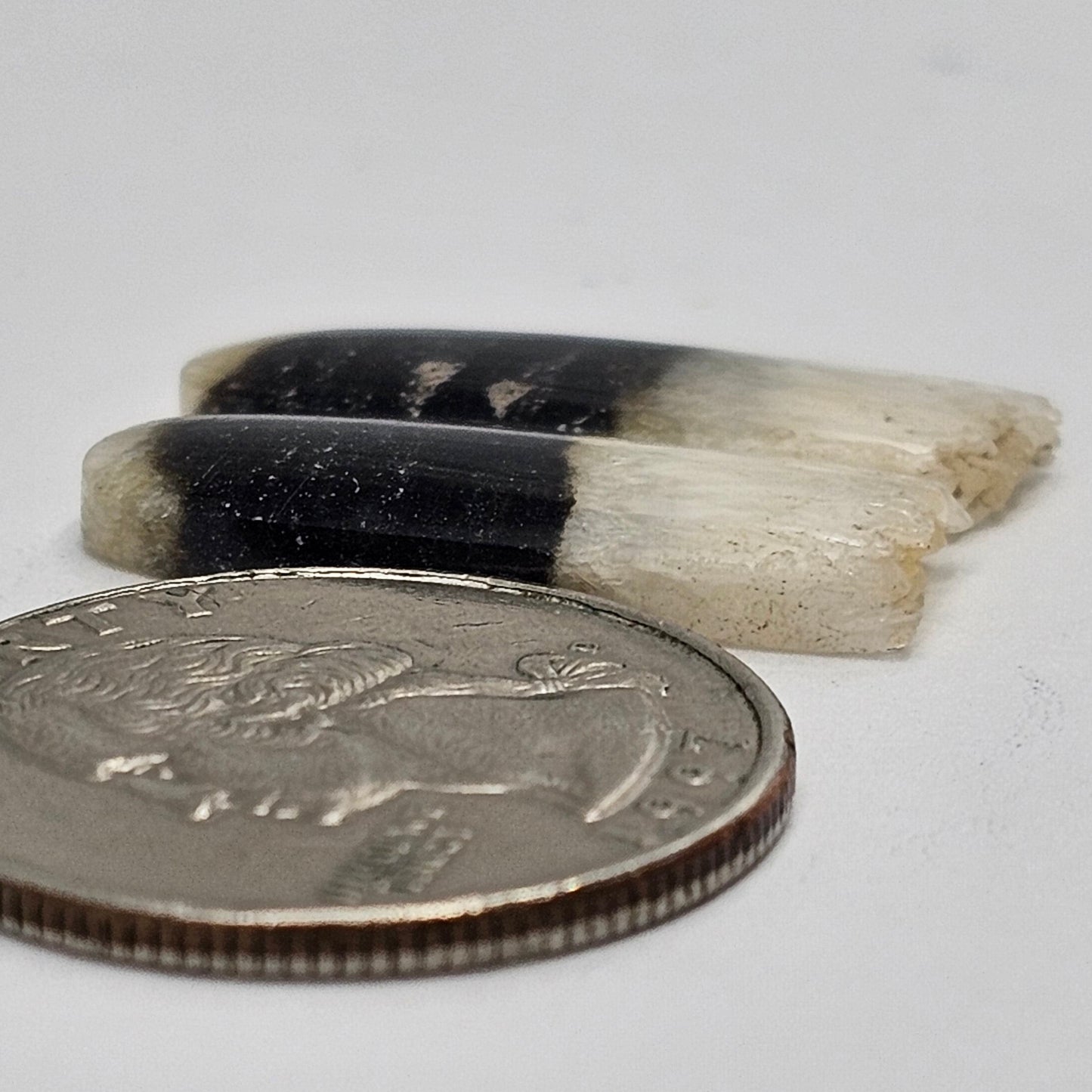 Yin Yang Agate Cabochon Pair