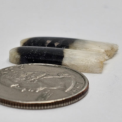 Yin Yang Agate Cabochon Pair