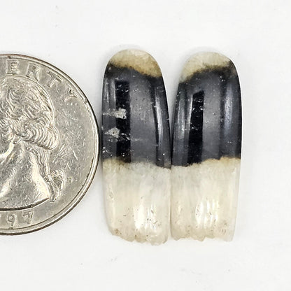 Yin Yang Agate Cabochon Pair