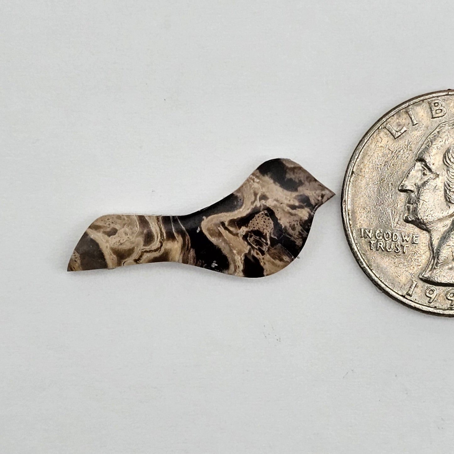 Petrified Palm Root Bird Cabochon