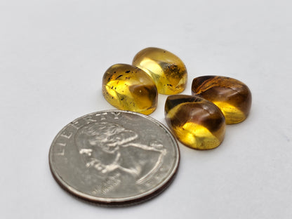 Amber authentic cabochon pair lot