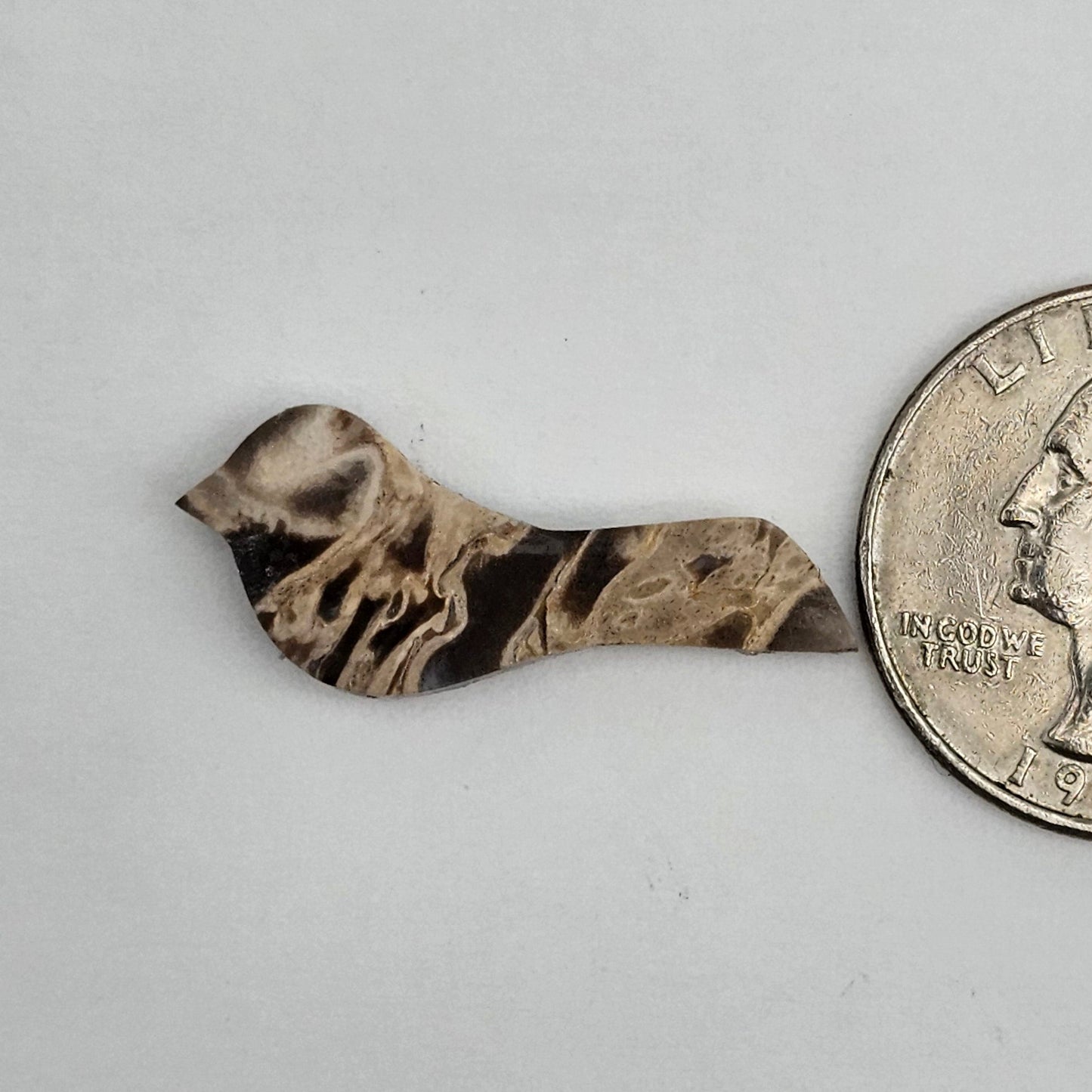 Petrified Palm Root Bird Cabochon