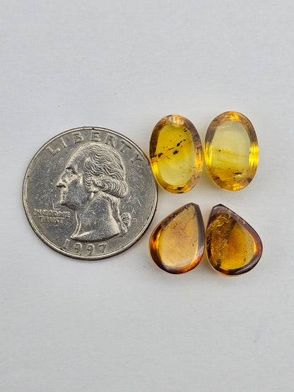 Amber authentic cabochon pair lot