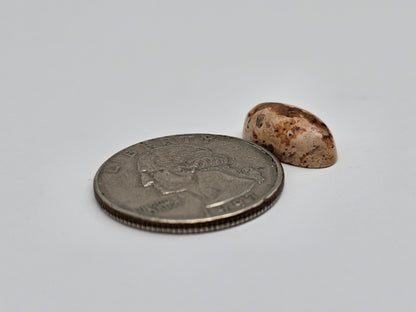 Mexican Cantera Opal Cabochon