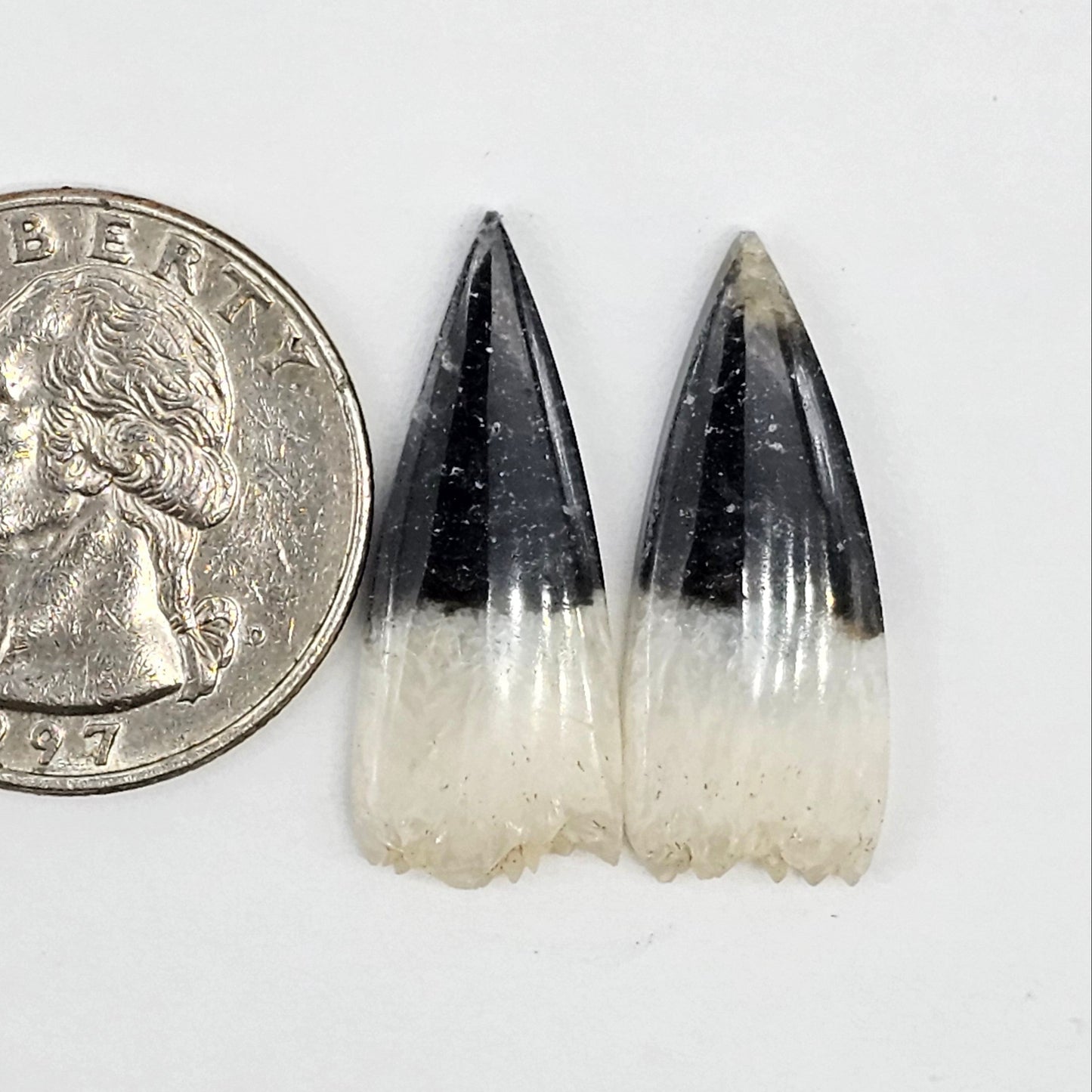 Yin Yang Agate Cabochon Pair