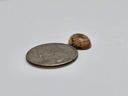 Mexican Cantera Opal Cabochon