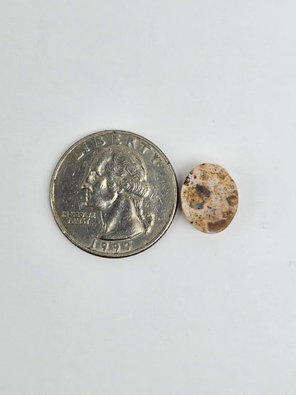 Mexican Cantera Opal Cabochon