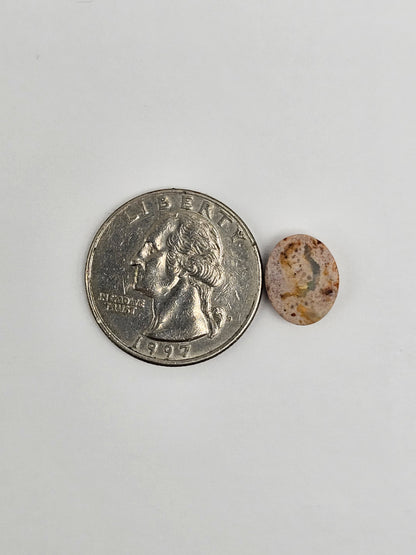 Mexican Cantera Opal Cabochon