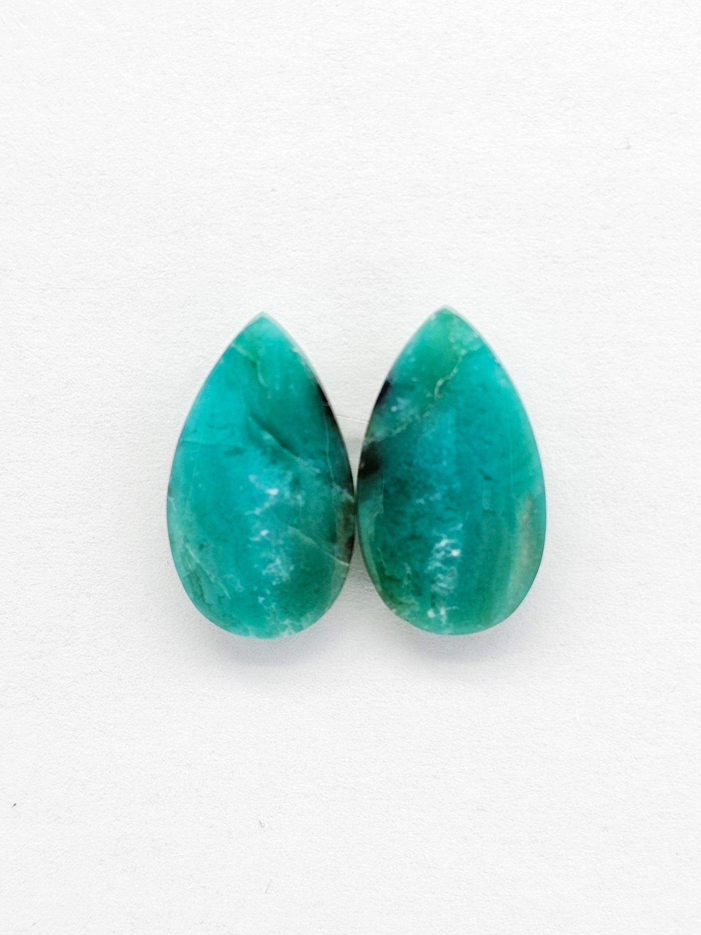 Blue Opal Petrified Wood Cabochon Pair