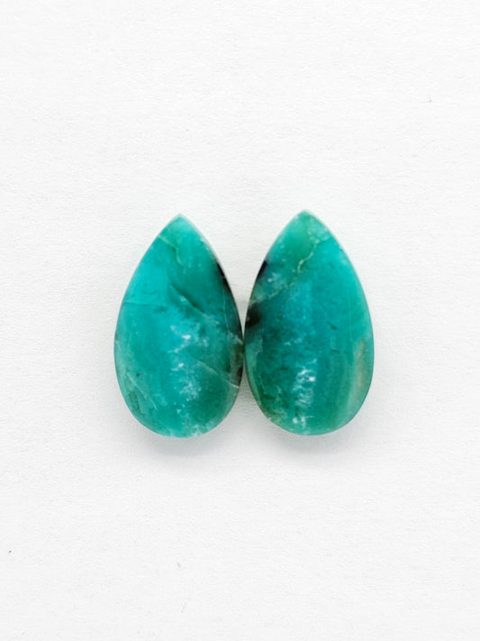 Blue Opal Petrified Wood Cabochon Pair