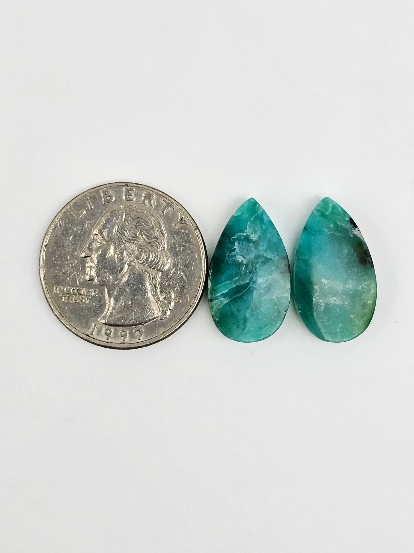 Blue Opal Petrified Wood Cabochon Pair