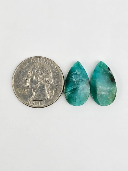 Blue Opal Petrified Wood Cabochon Pair