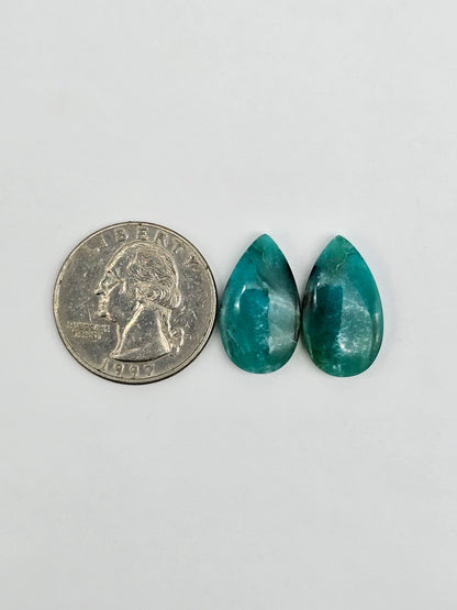 Blue Opal Petrified Wood Cabochon Pair