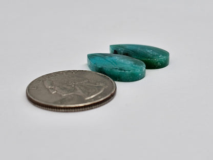 Blue Opal Petrified Wood Cabochon Pair