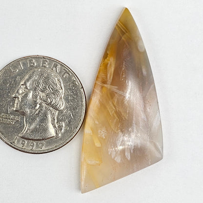 Tube Agate Cabochon Large