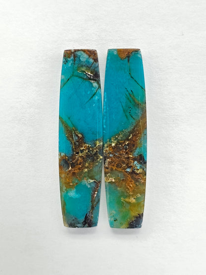 Blue Opal Petrified Wood Cabochon Pair