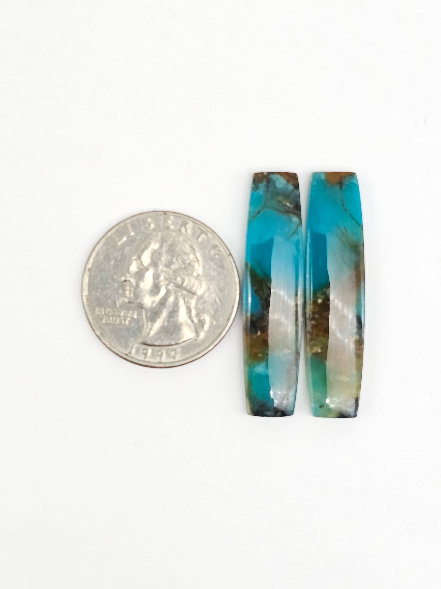 Blue Opal Petrified Wood Cabochon Pair