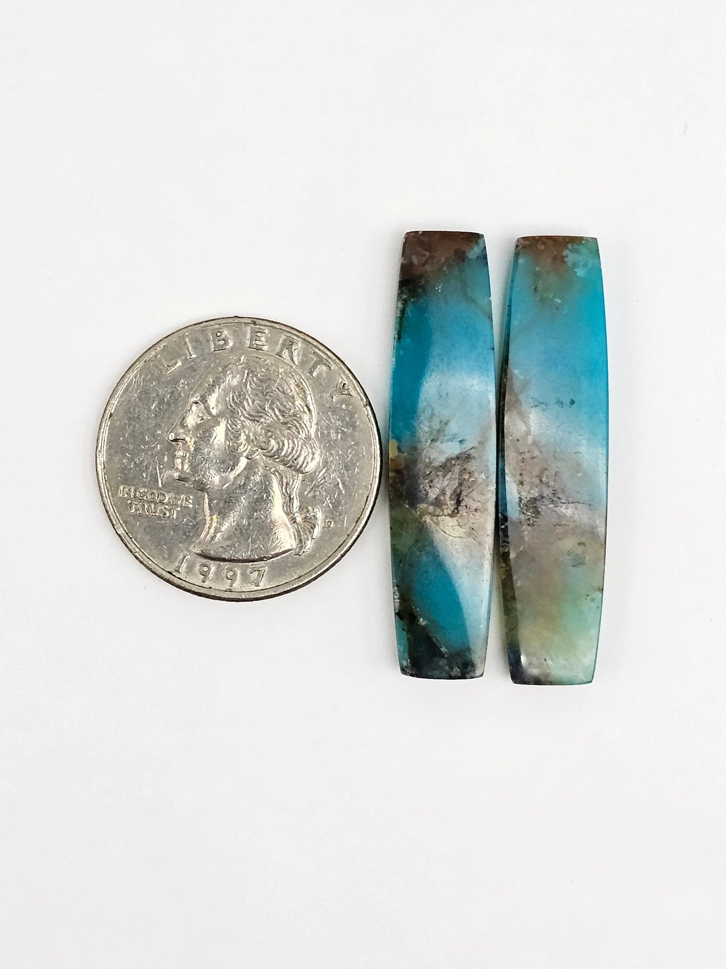 Blue Opal Petrified Wood Cabochon Pair