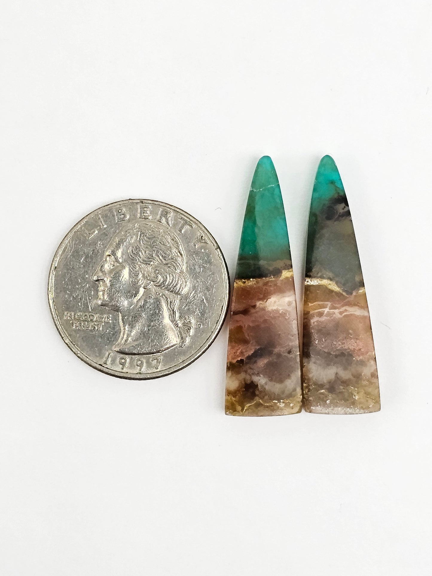 Blue Opal Petrified Wood Cabochon Pair