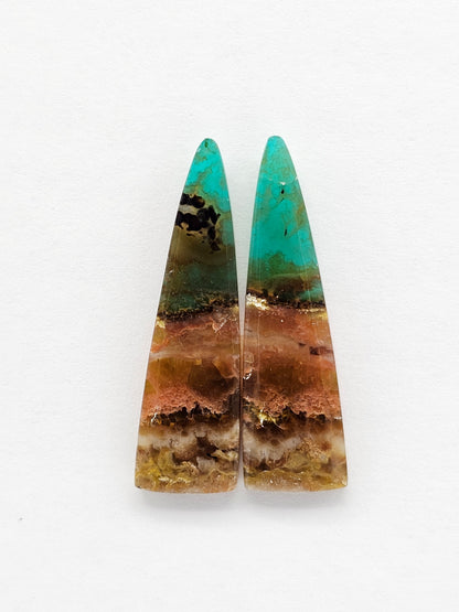 Blue Opal Petrified Wood Cabochon Pair