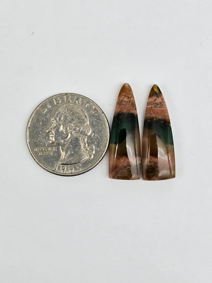 Blue Opal Petrified Wood Cabochon Pair