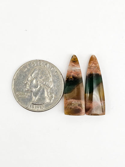 Blue Opal Petrified Wood Cabochon Pair