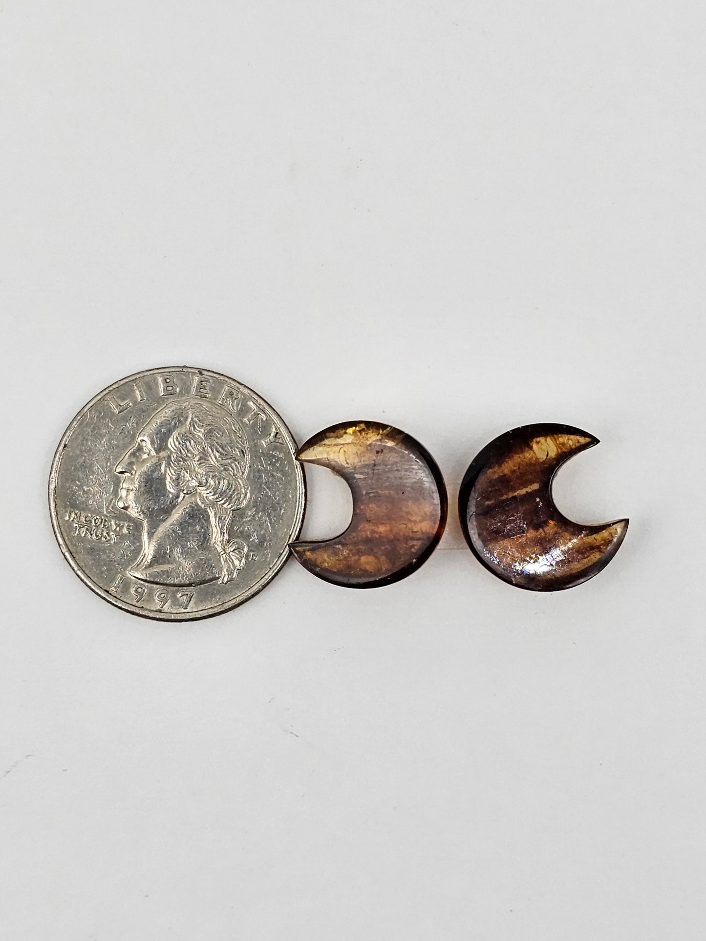 Amber authentic moon cabochon pair large