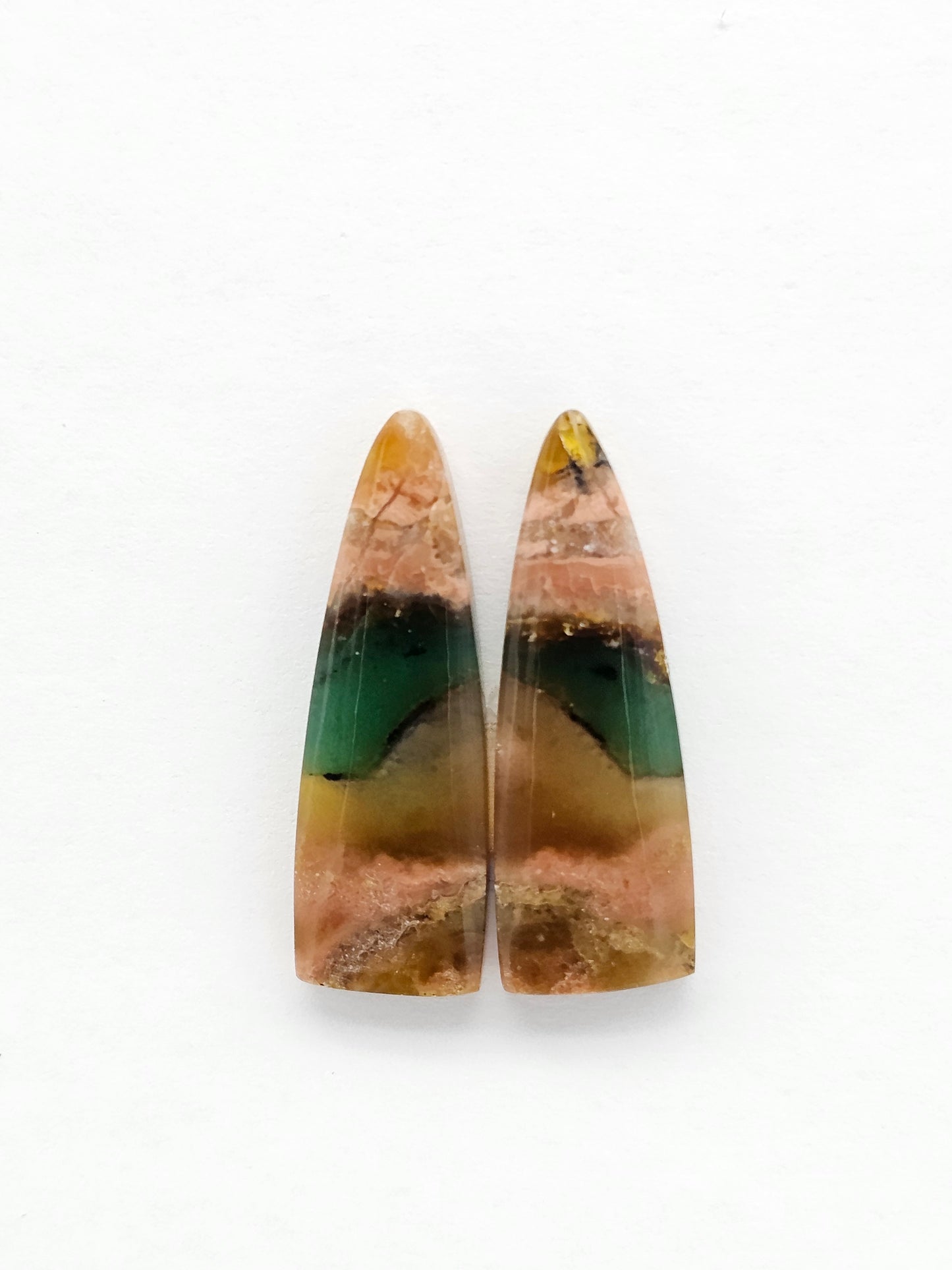 Blue Opal Petrified Wood Cabochon Pair