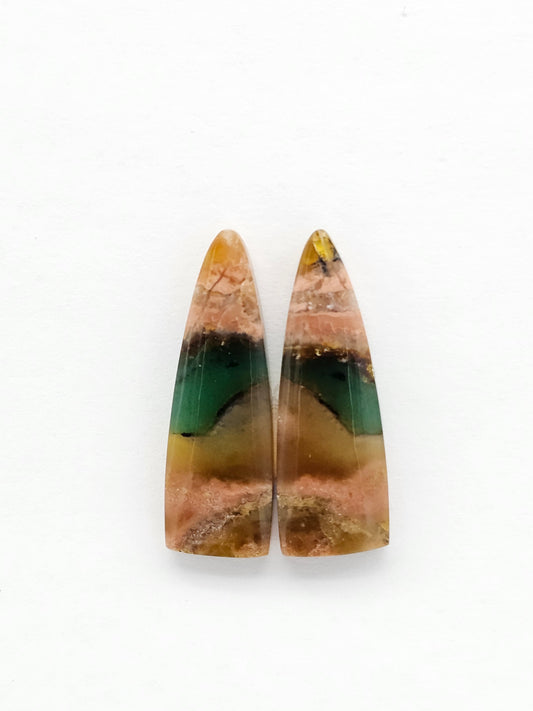 Blue Opal Petrified Wood Cabochon Pair