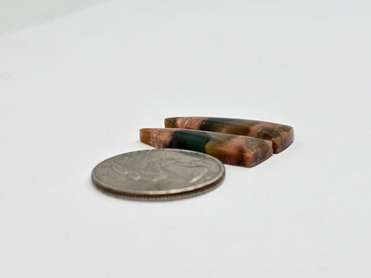 Blue Opal Petrified Wood Cabochon Pair