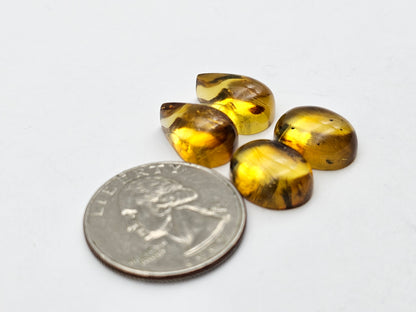 Amber authentic cabochon pair lot