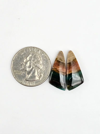 Blue Opal Petrified Wood Cabochon Pair