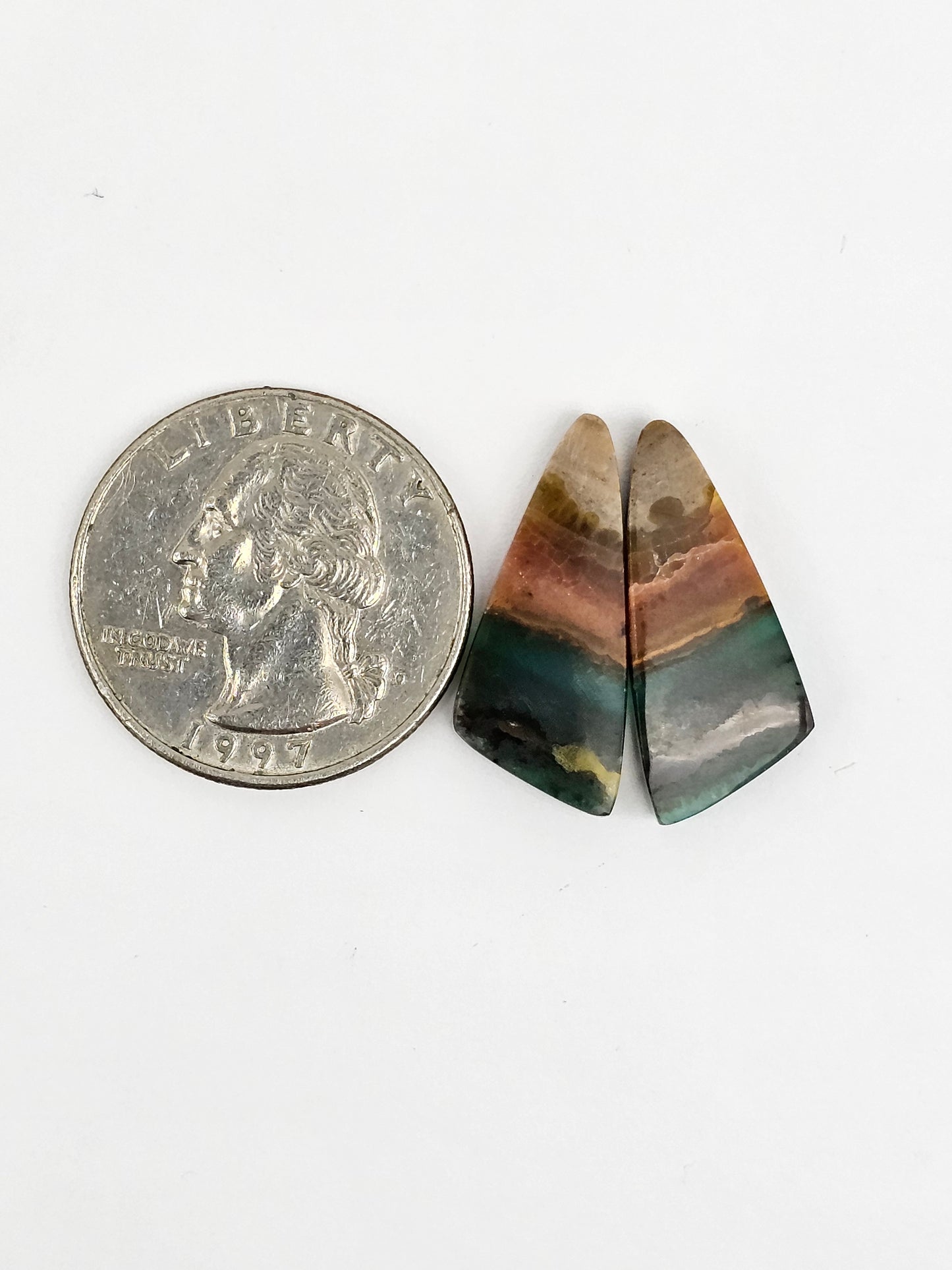 Blue Opal Petrified Wood Cabochon Pair