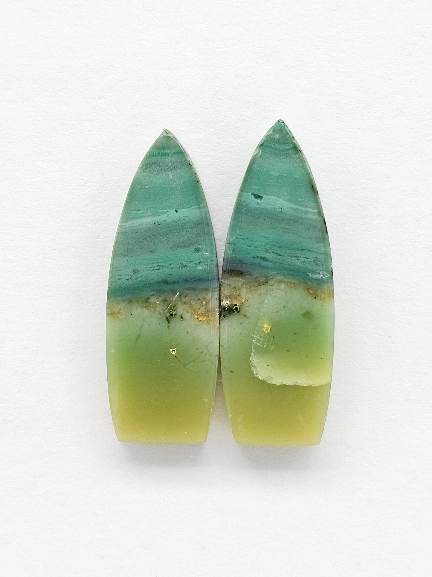 Blue Opal Petrified Wood Cabochon Pair