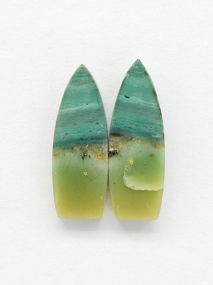 Blue Opal Petrified Wood Cabochon Pair