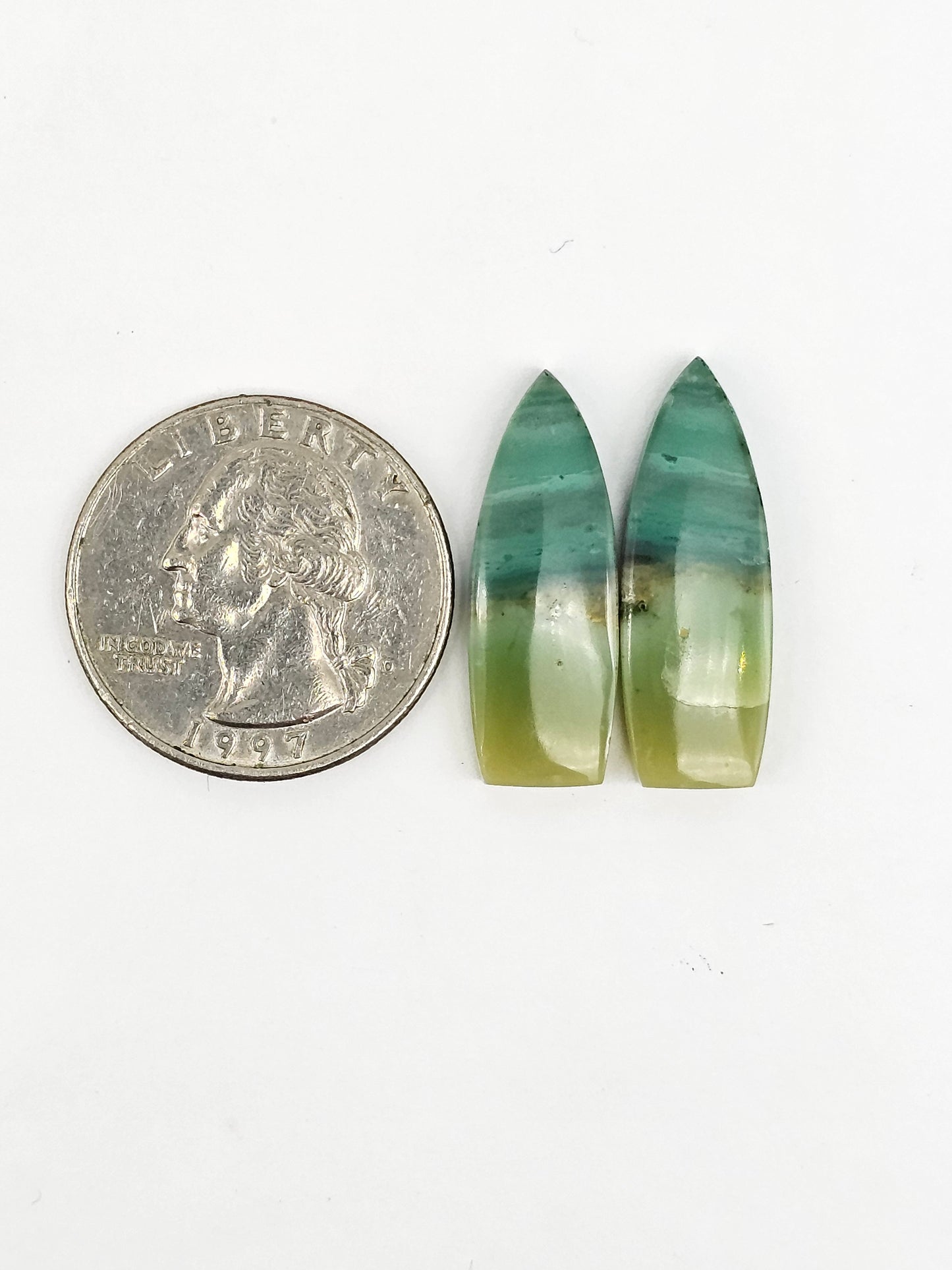 Blue Opal Petrified Wood Cabochon Pair