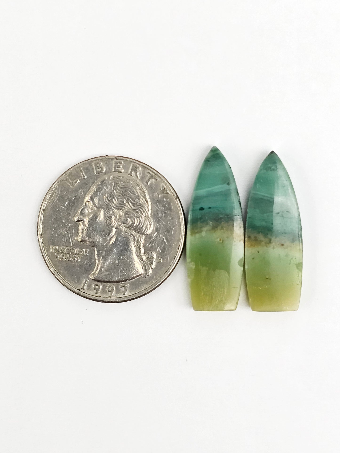 Blue Opal Petrified Wood Cabochon Pair