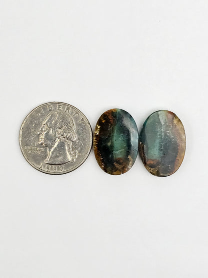 Blue Opal Petrified Wood Cabochon Pair