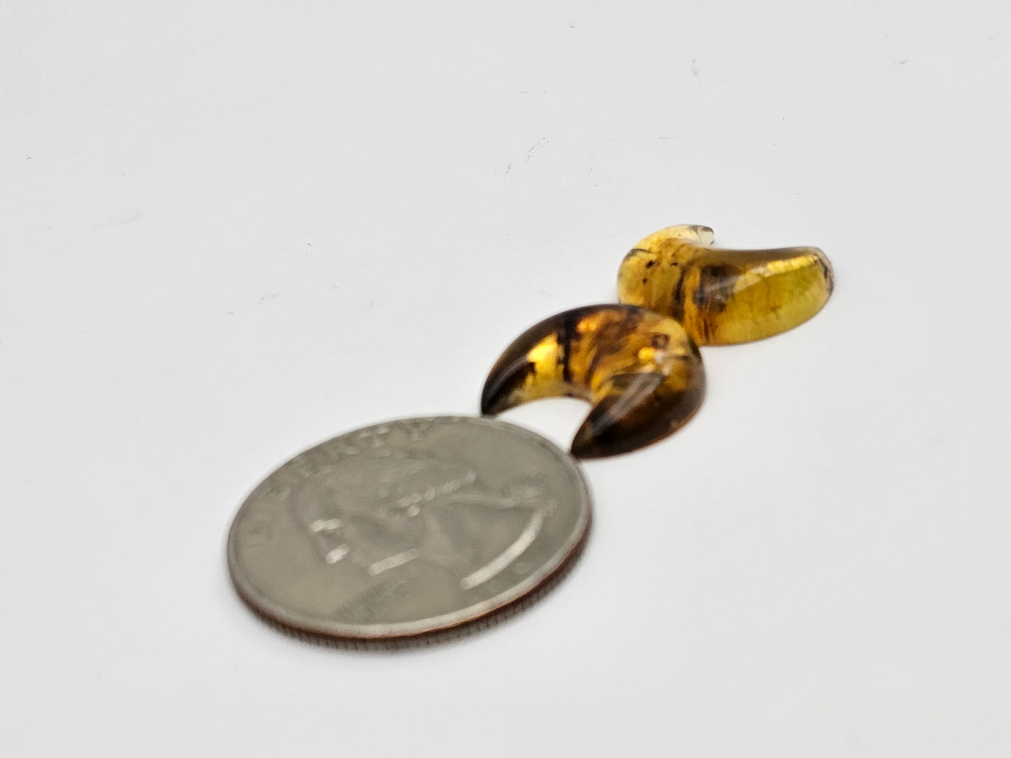 Amber authentic moon cabochon pair large