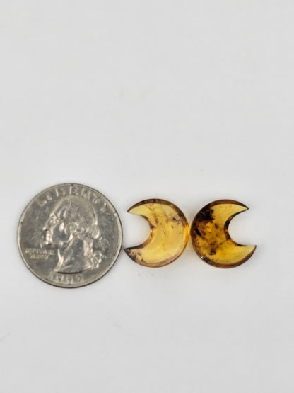 Amber authentic moon cabochon pair large
