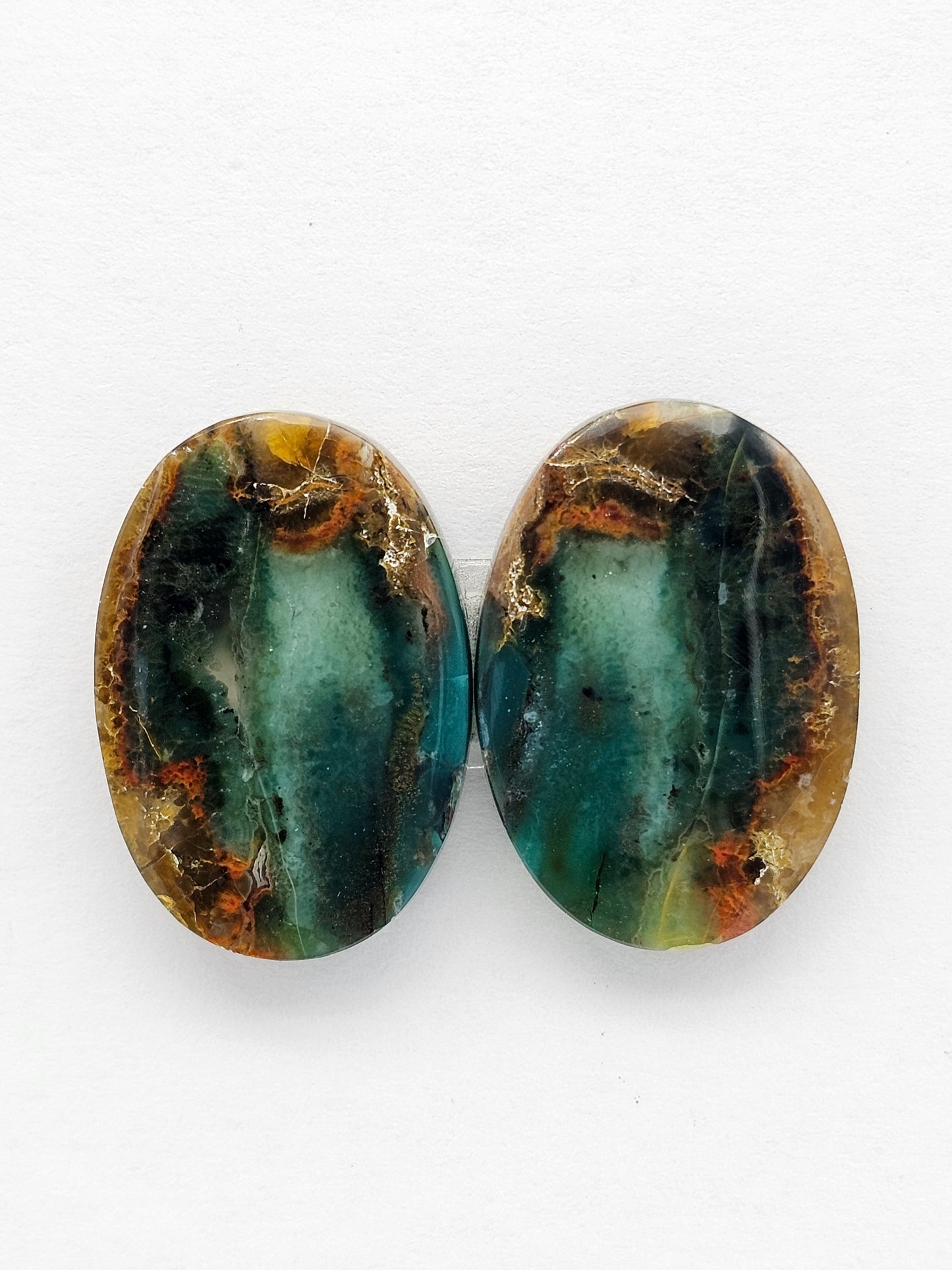 Blue Opal Petrified Wood Cabochon Pair