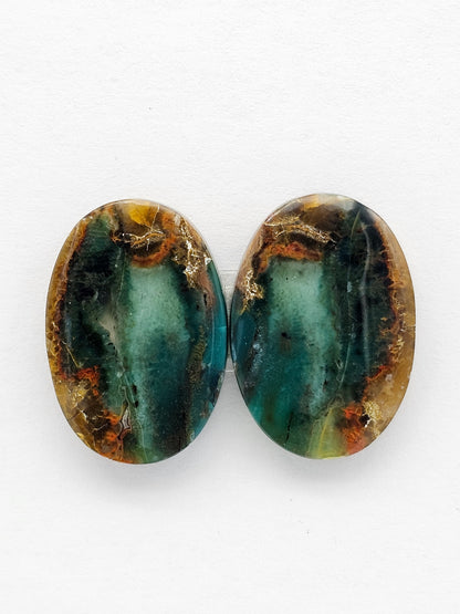 Blue Opal Petrified Wood Cabochon Pair