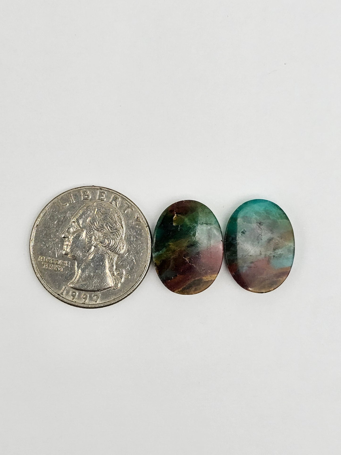 Blue Opal Petrified Wood Cabochon Pair