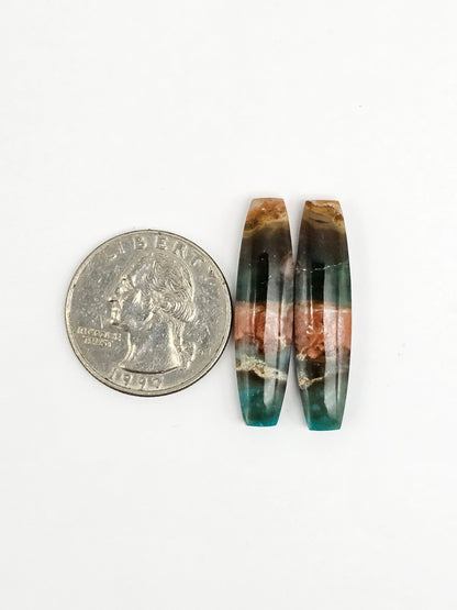 Blue Opal Petrified Wood Cabochon Pair