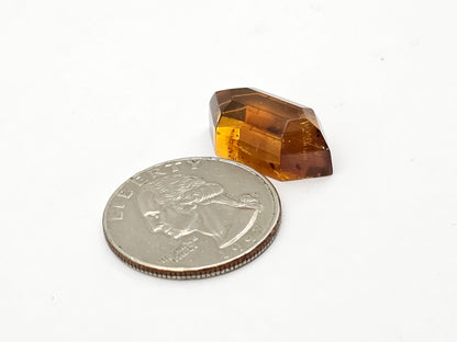 Amber authentic cabochon large